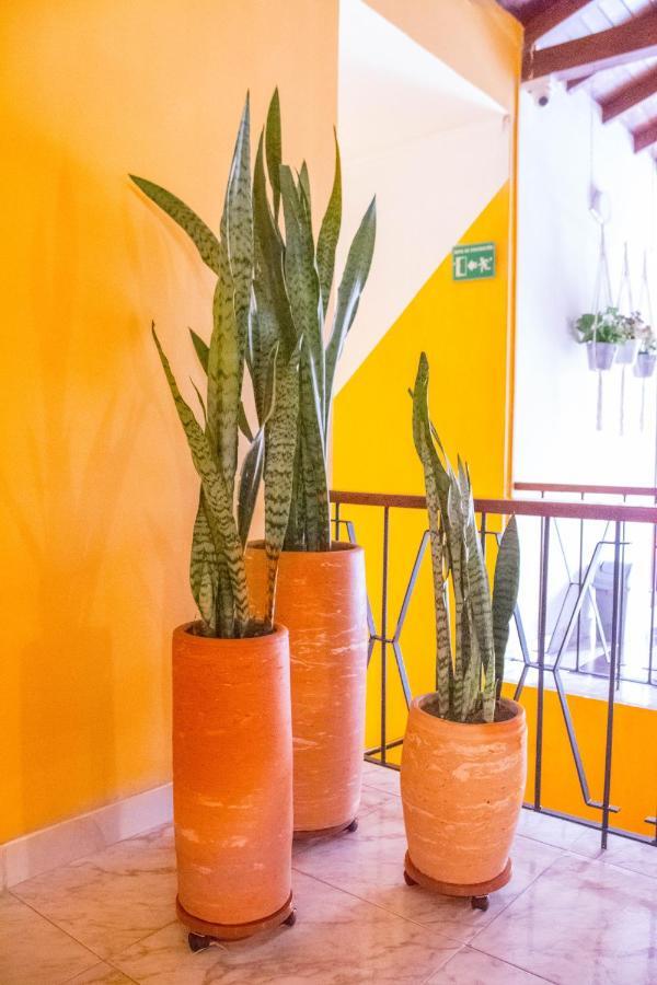 Hotel Porton Colonial Medellin Ngoại thất bức ảnh